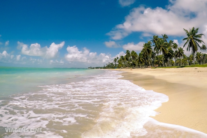 O Que Fazer Em Maragogi Alagoas Pousadas Pre Os E Melhores Praias