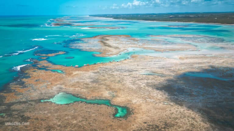 O Que Fazer Em Porto De Pedras Praia Do Patacho E Peixe Boi