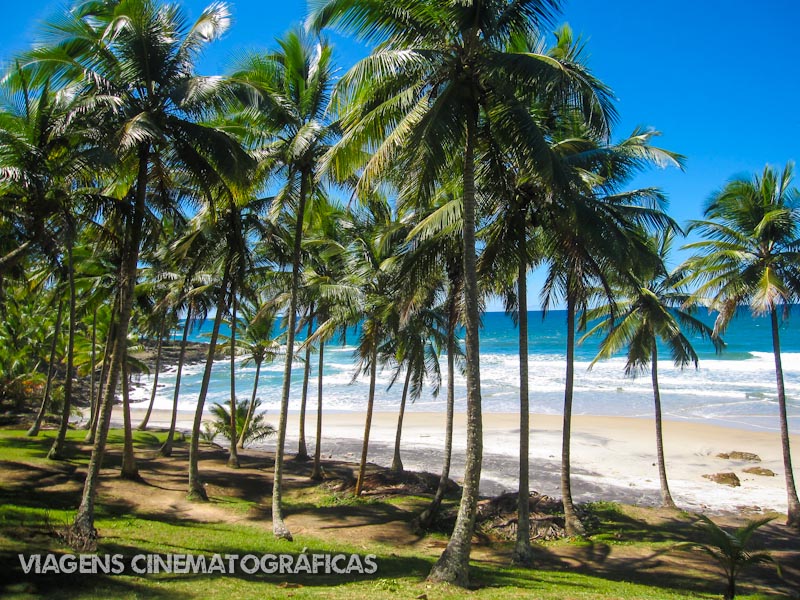 Melhores Praias da Bahia: Itacaré Melhores Praias da Bahia