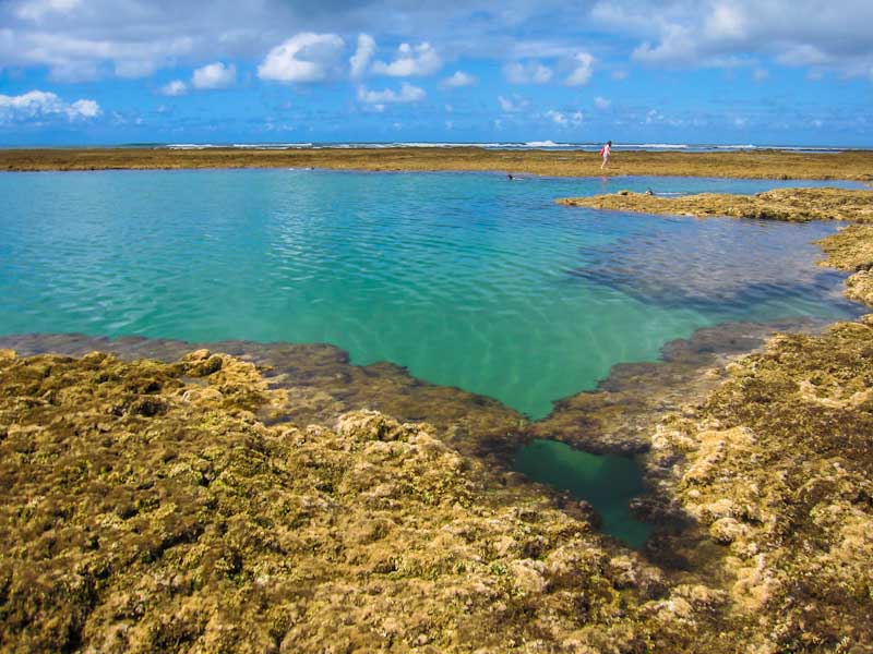 O que fazer na Bahia: Dicas de Viagem e Principais Pontos Turísticos O que fazer na Bahia: Dicas de Viagem e Principais Pontos Turísticos