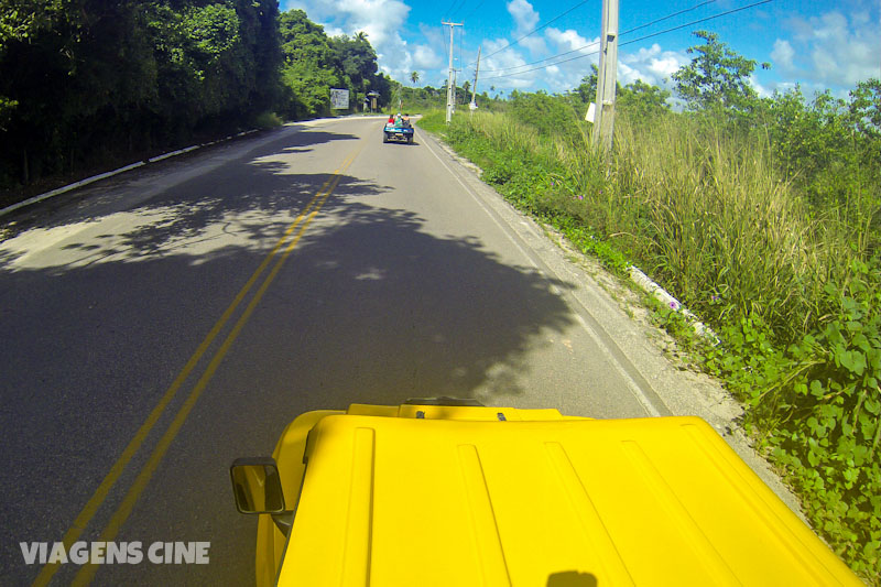Porto de Galinhas Passeio de Buggy Porto de Galinhas Passeio de Buggy