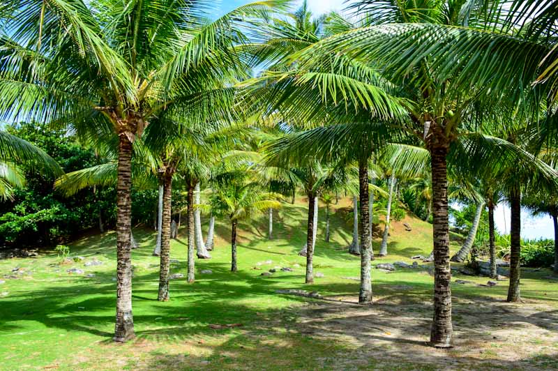 O que fazer em Maresias: Praias, Trilhas e Rapel O que fazer em Maresias: Praias, Trilhas e Rapel