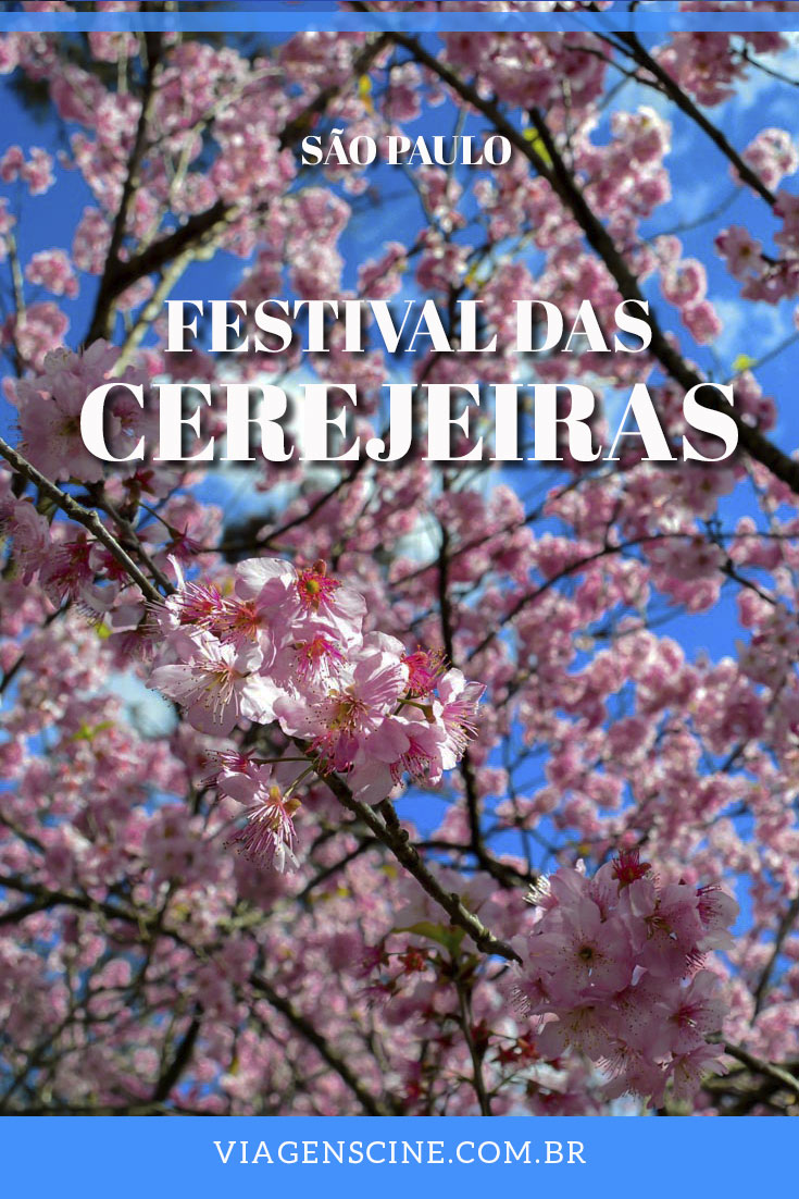 Hanami: A Beleza Do Festival Das Cerejeiras No Parque Do Carmo SP