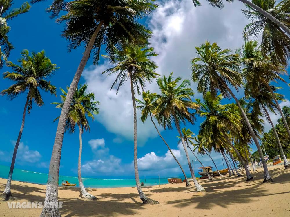 O Que Fazer Em Japaratinga Dicas Um Paraíso Ao Lado De Maragogi 3919