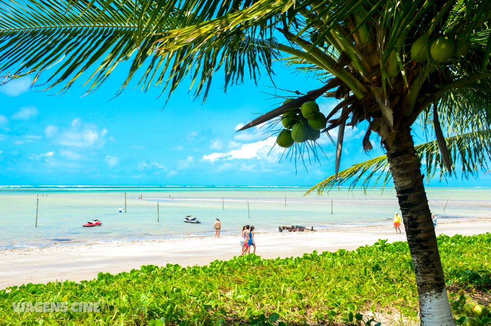 10 Melhores Praias de Alagoas: Maceió e Litoral Norte a Sul - Expedição Caribe Brasileiro 10 Melhores Praias de Alagoas: Maceió e Litoral Norte a Sul - Expedição Caribe Brasileiro