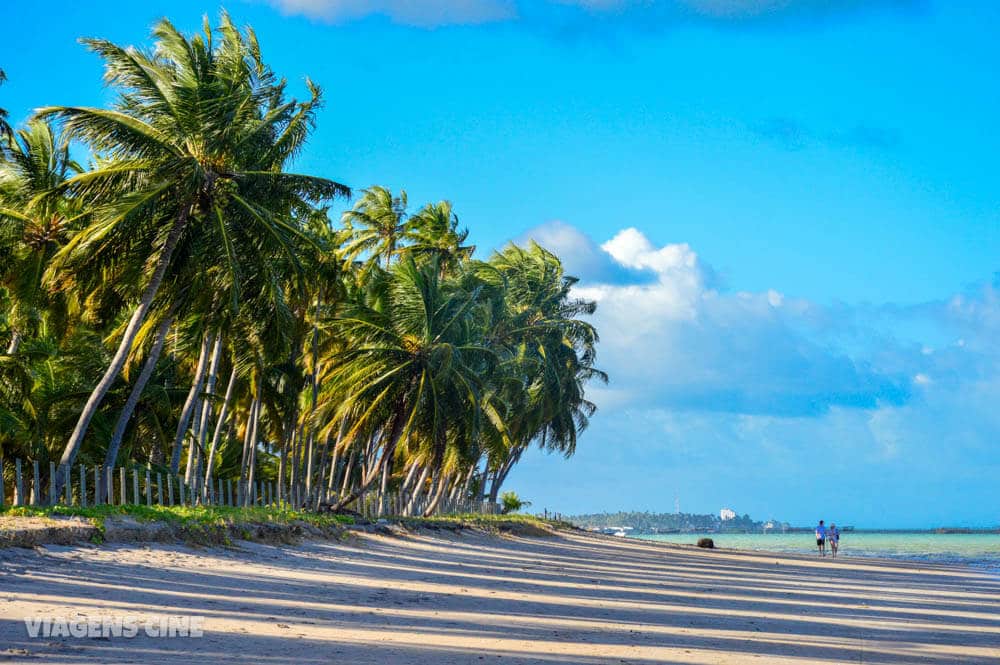 O que fazer em Maragogi Alagoas: Melhores Praias O que fazer em Maragogi Alagoas: Melhores Praias