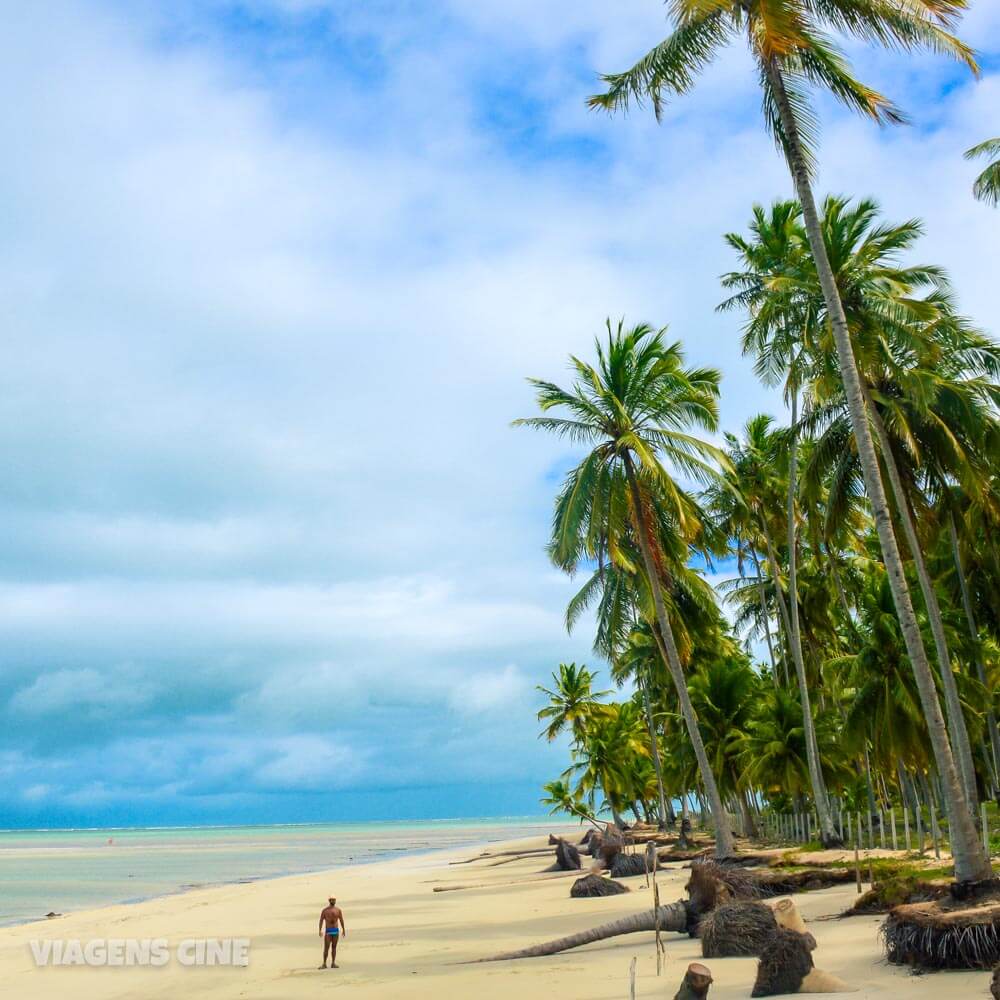 O que fazer em Maragogi Alagoas: Melhores Praias O que fazer em Maragogi Alagoas: Melhores Praias