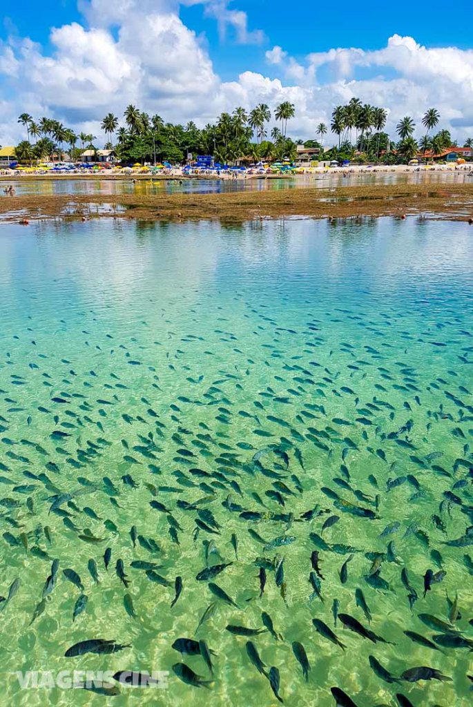 As 7 Maravilhas da Natureza do Brasil: Porto de Galinhas As 7 Maravilhas da Natureza do Brasil: Porto de Galinhas