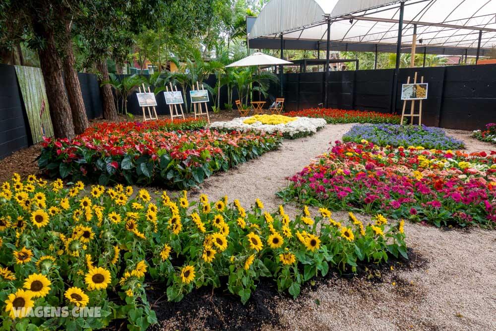 Holambra - Como Funciona a Expoflora 2018: Maior Feira de Flores da América Latina