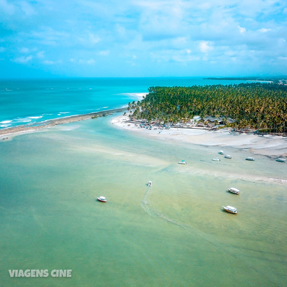 Praia Dos Carneiros Como Ir Bora Bora é A Melhor Barraca 1005